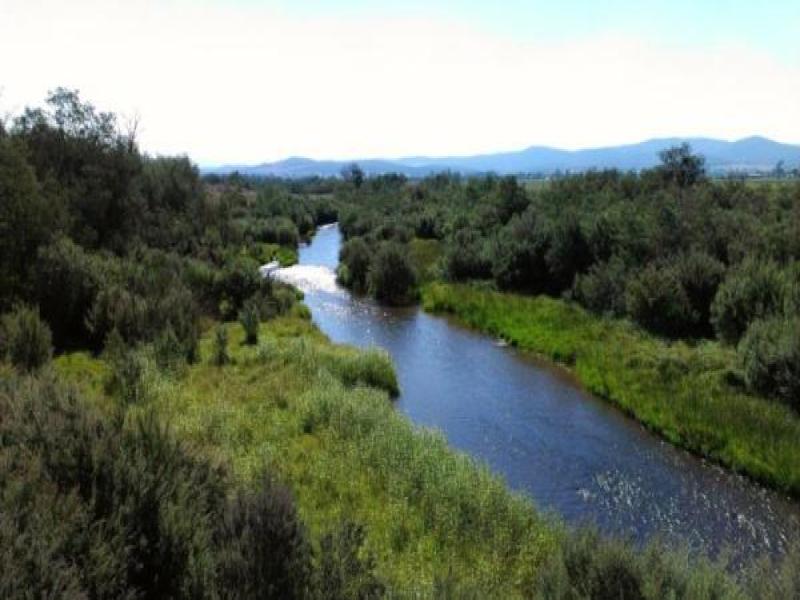 Upstream