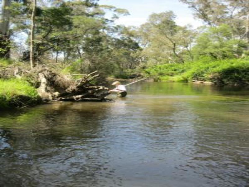 Upstream