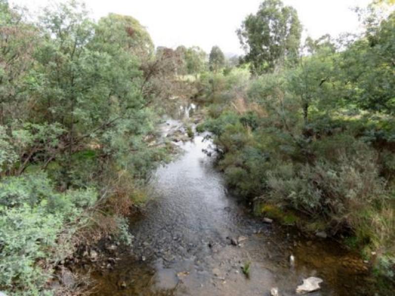 Downstream