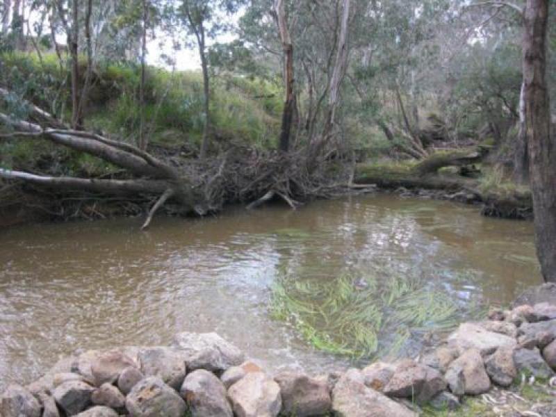 Downstream