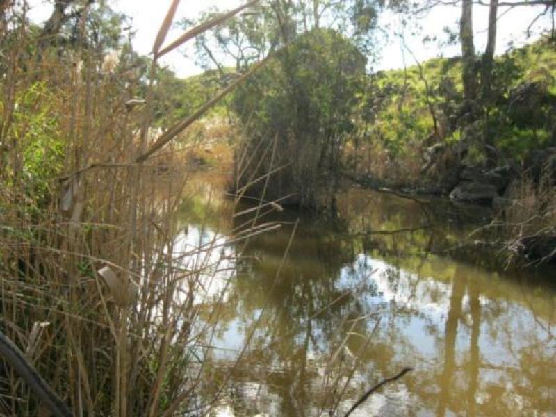 Upstream