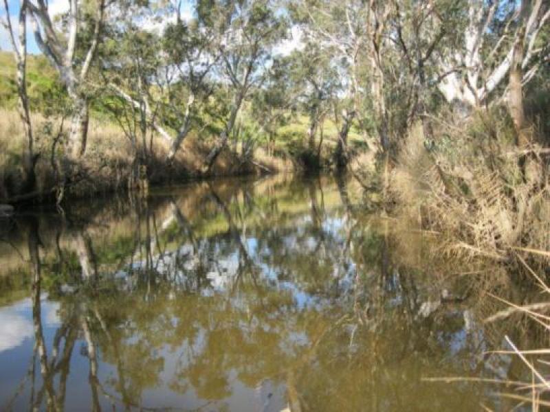 Downstream