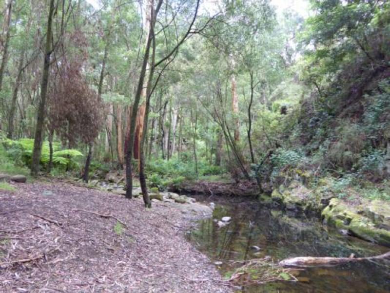 Upstream