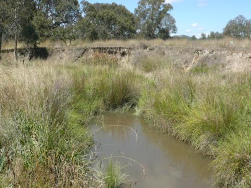 Downstream