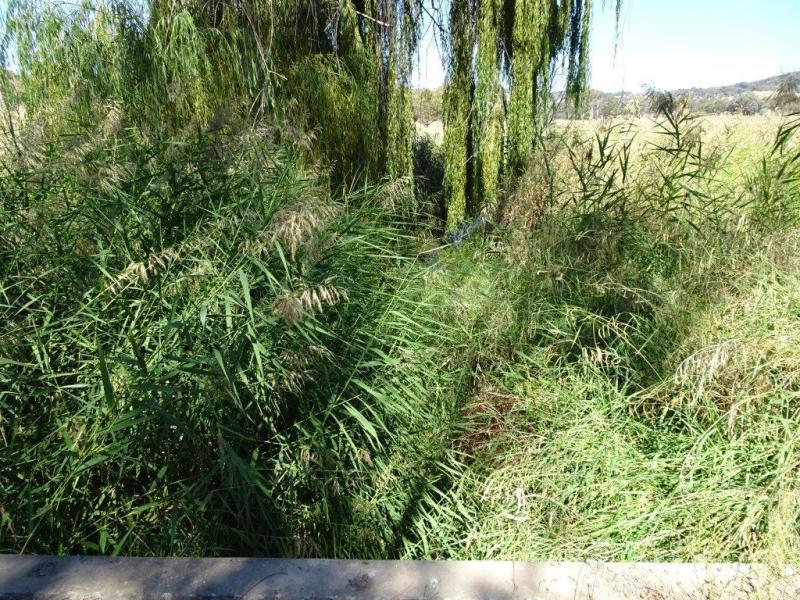 Upstream