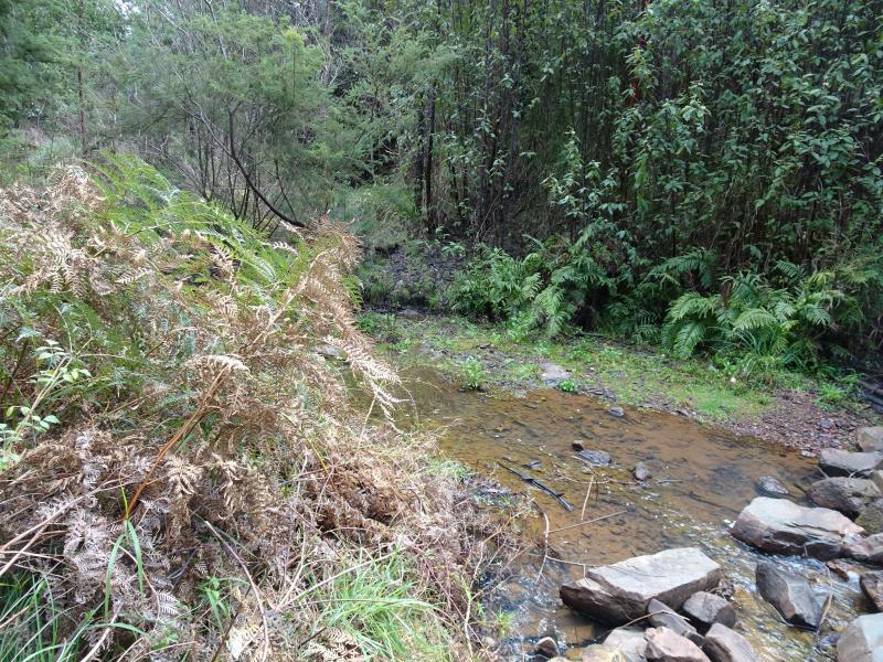Downstream