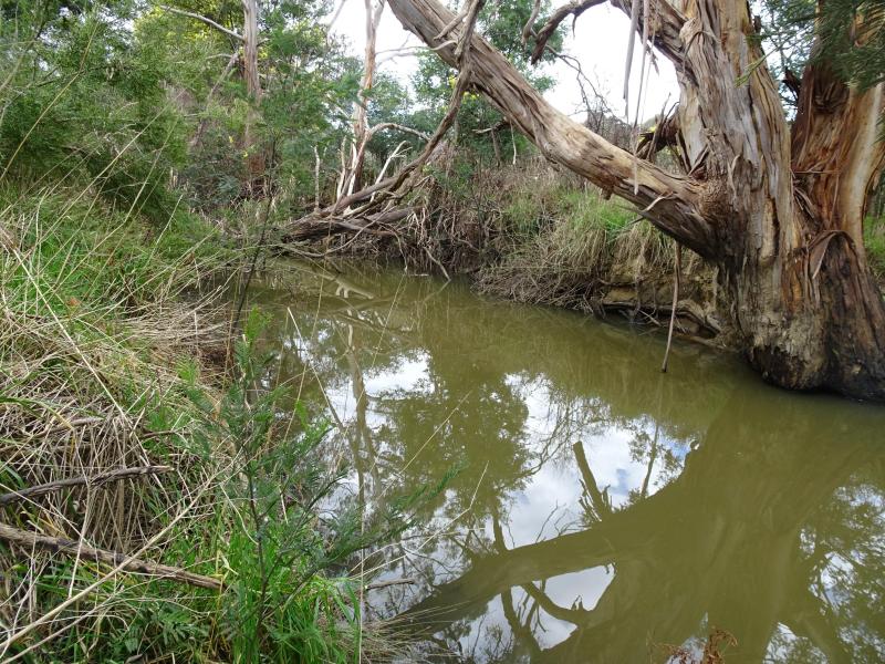 Downstream