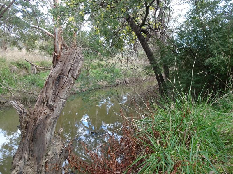 Upstream
