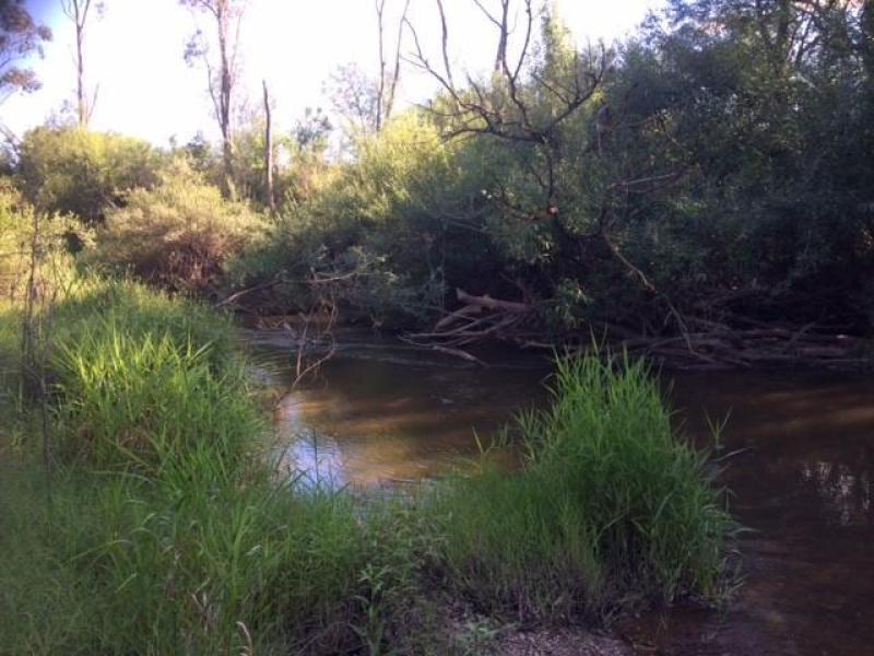 Downstream