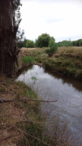 Downstream