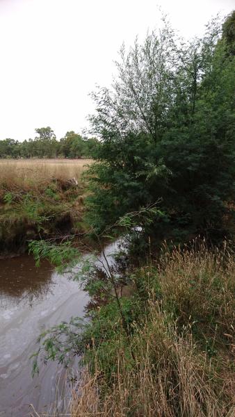 Upstream
