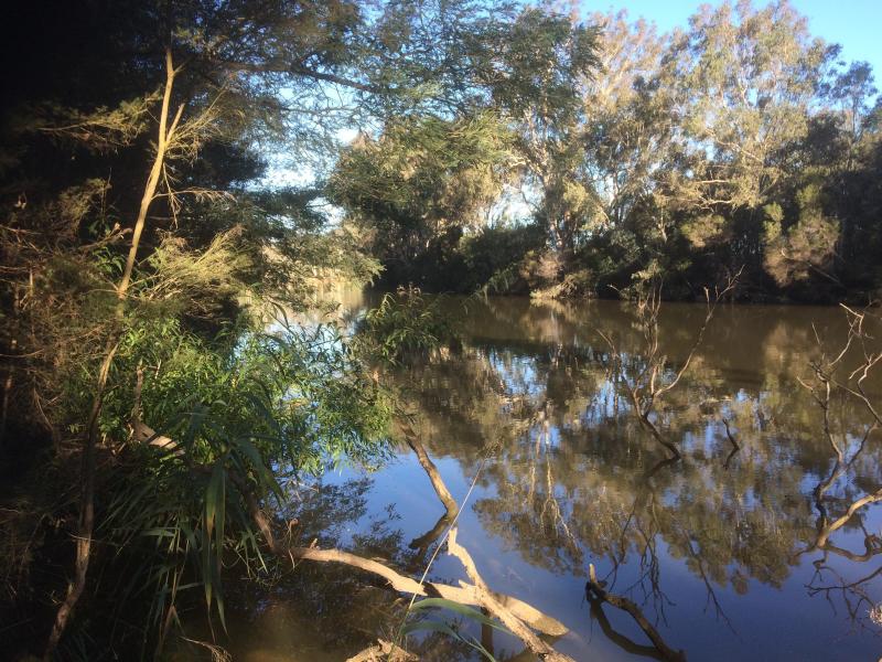 Downstream