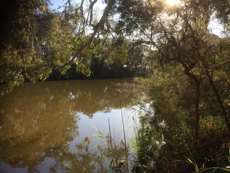 Upstream