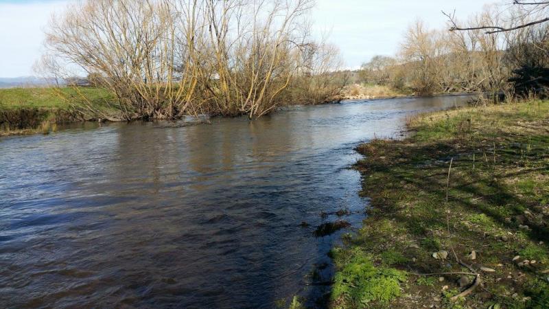 Upstream