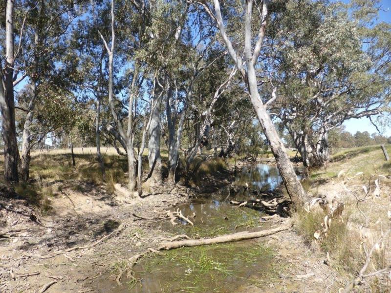 Upstream