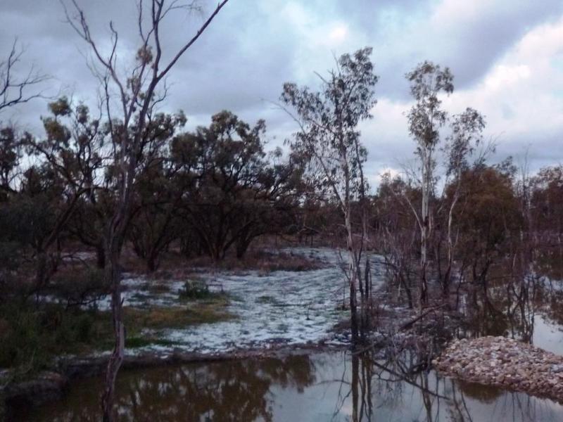 Downstream