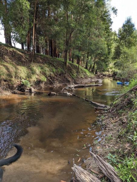 Upstream