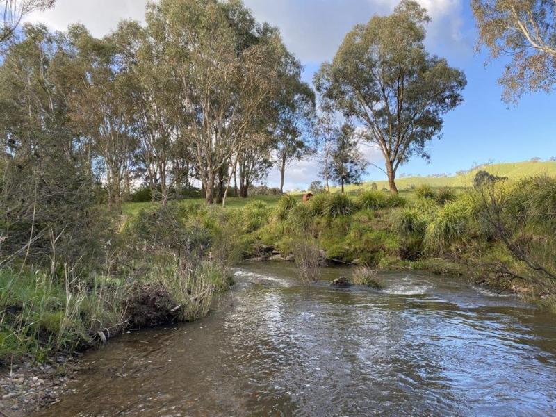 Downstream