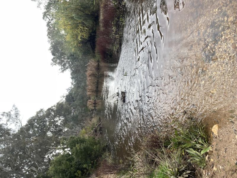 Downstream