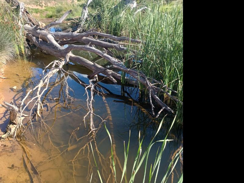 Upstream