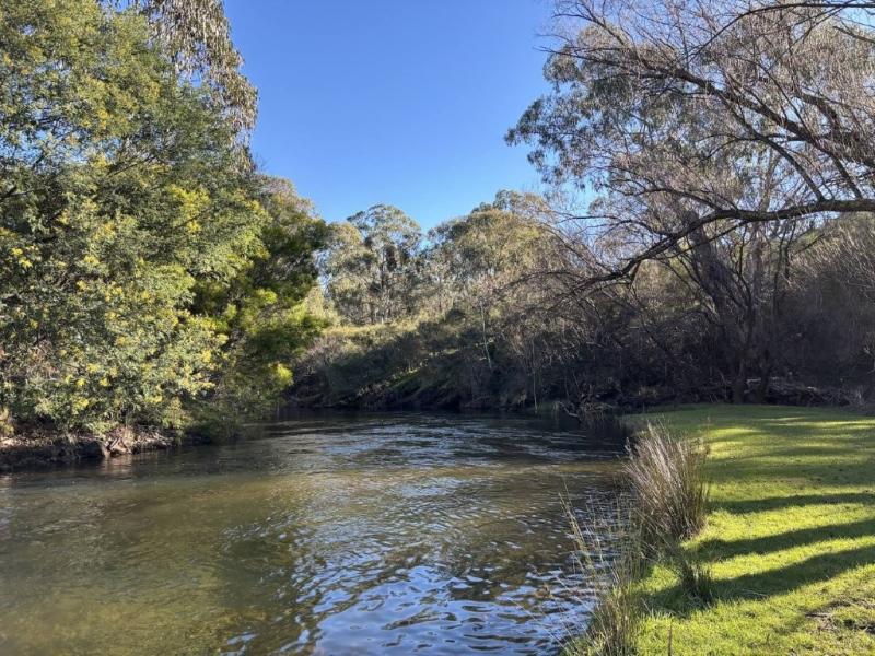 Downstream