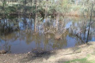 Site Photo across stream