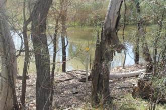 Site photo, across stream