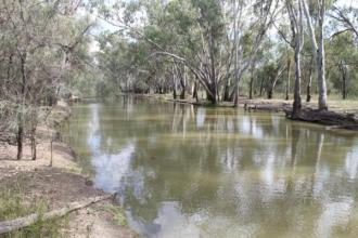 Downstream