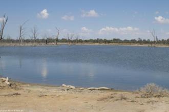 Site Photo