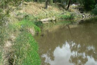 Not too much has changed, except for an extremely high water line from the Christmas Day storms. Looks like a bit of a snag in mid stream too. Flow is still very good.