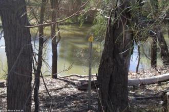 Site Photo