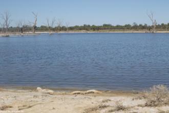 Site Photo