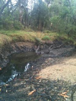 site #2 in the dried up up stream