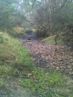 site #2 down stream