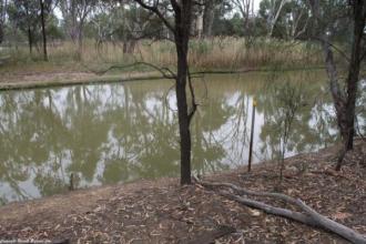 Site