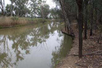 Up Stream