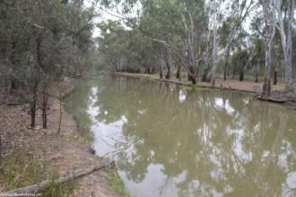 Down Stream