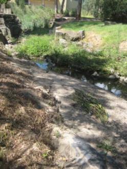 The stream has become quite overgrown in the last few months.