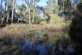 New site location approx 50 metres North of original location along track between 14th & 15th holes