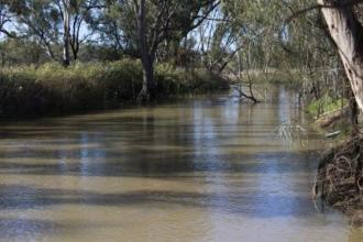 BWS101 Upstream