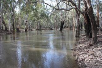 upstream