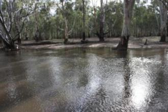 across stream