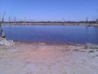 Site