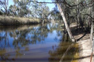 Upstream