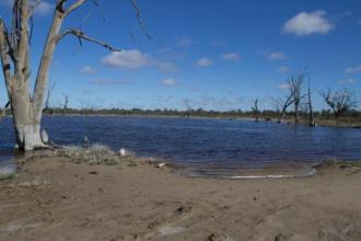 Site