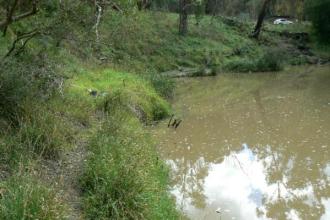 pleasant morning, bit cool but - has been a cool week with good rains earlier