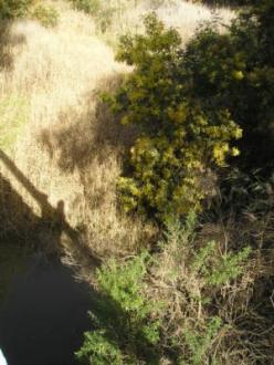 Testing photo loading