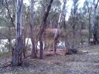 Site