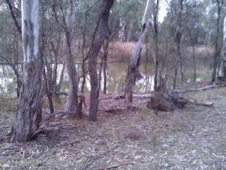 Site