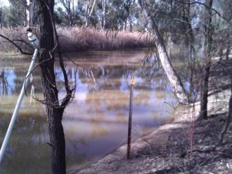 Site